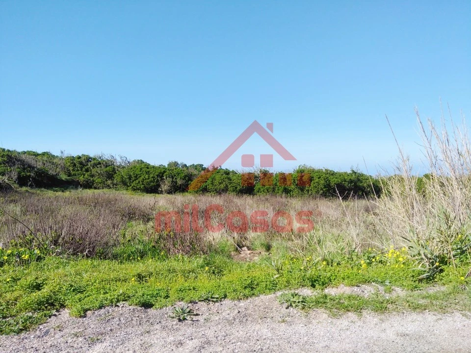 Terreno Misto para Venda em São Pedro da Cadeira Foto 20