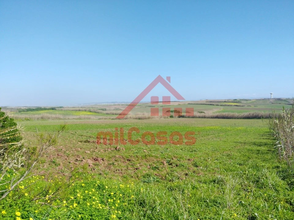 Terreno Misto para Venda em São Pedro da Cadeira Foto 7