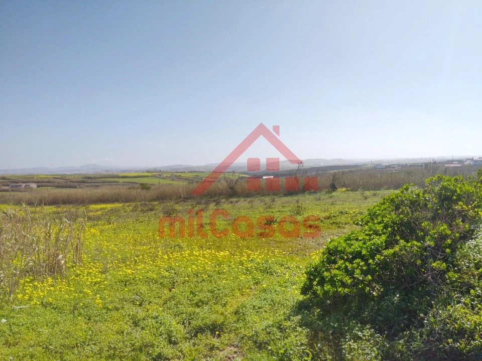 Terreno Misto para Venda em São Pedro da Cadeira Foto 8