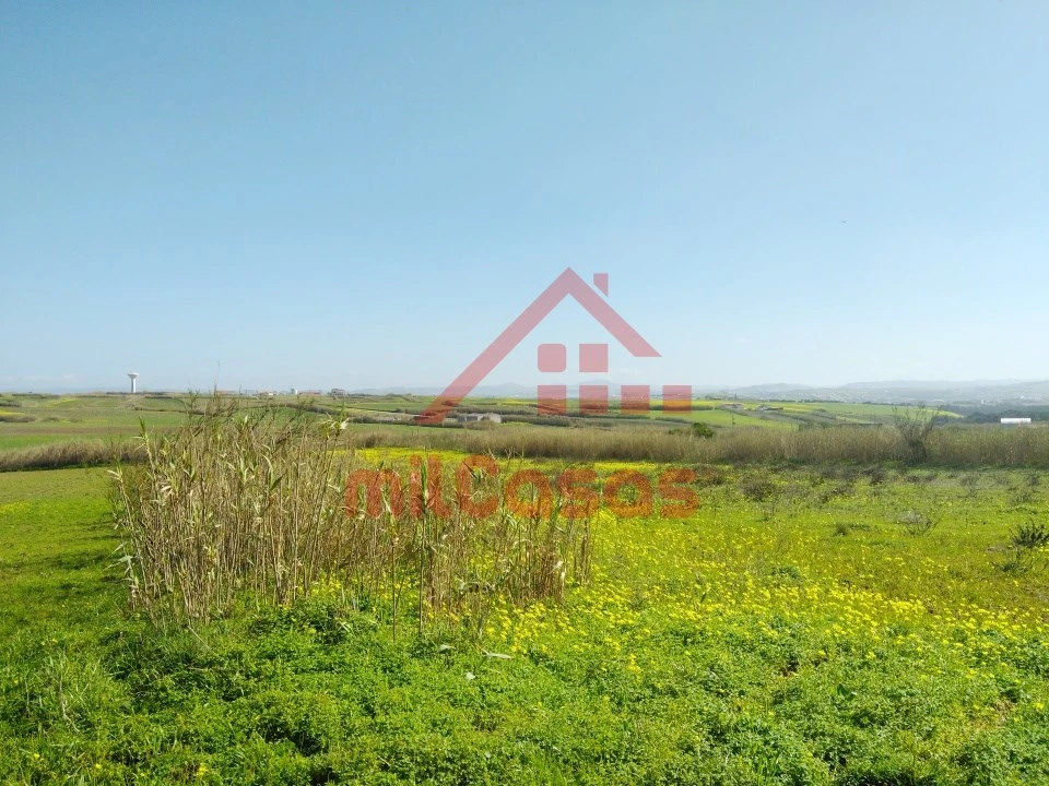 Terreno Misto para Venda em São Pedro da Cadeira Foto 9