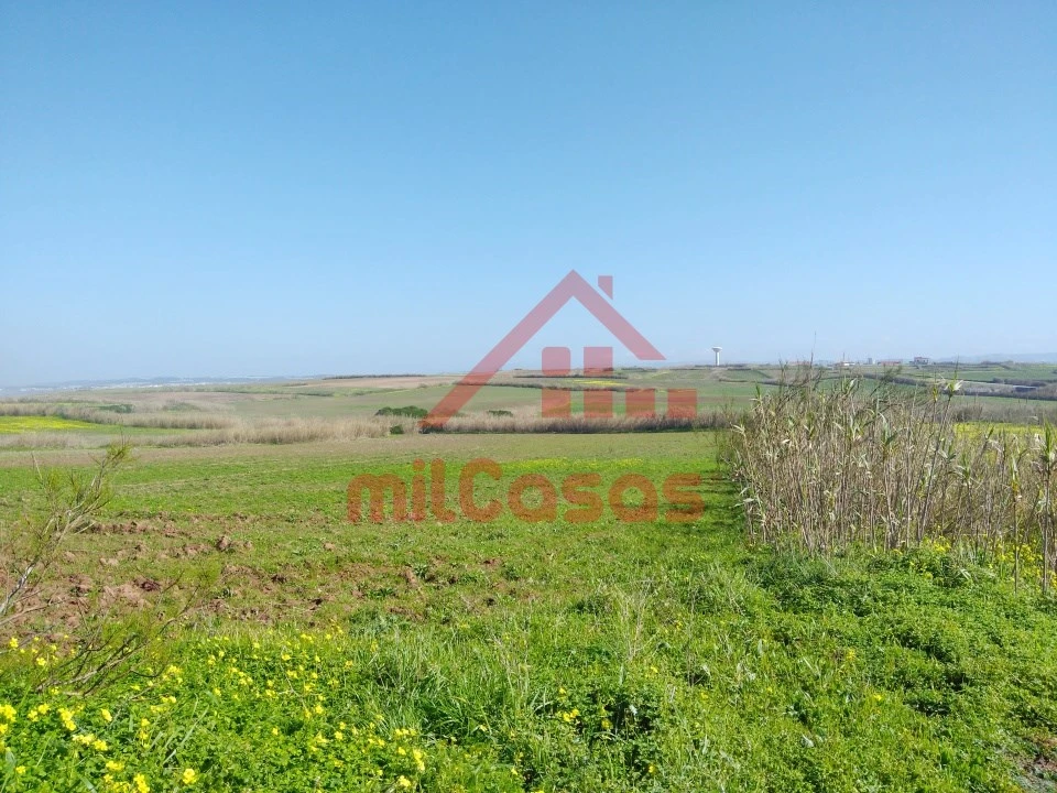 Terreno Misto para Venda em São Pedro da Cadeira Foto 16