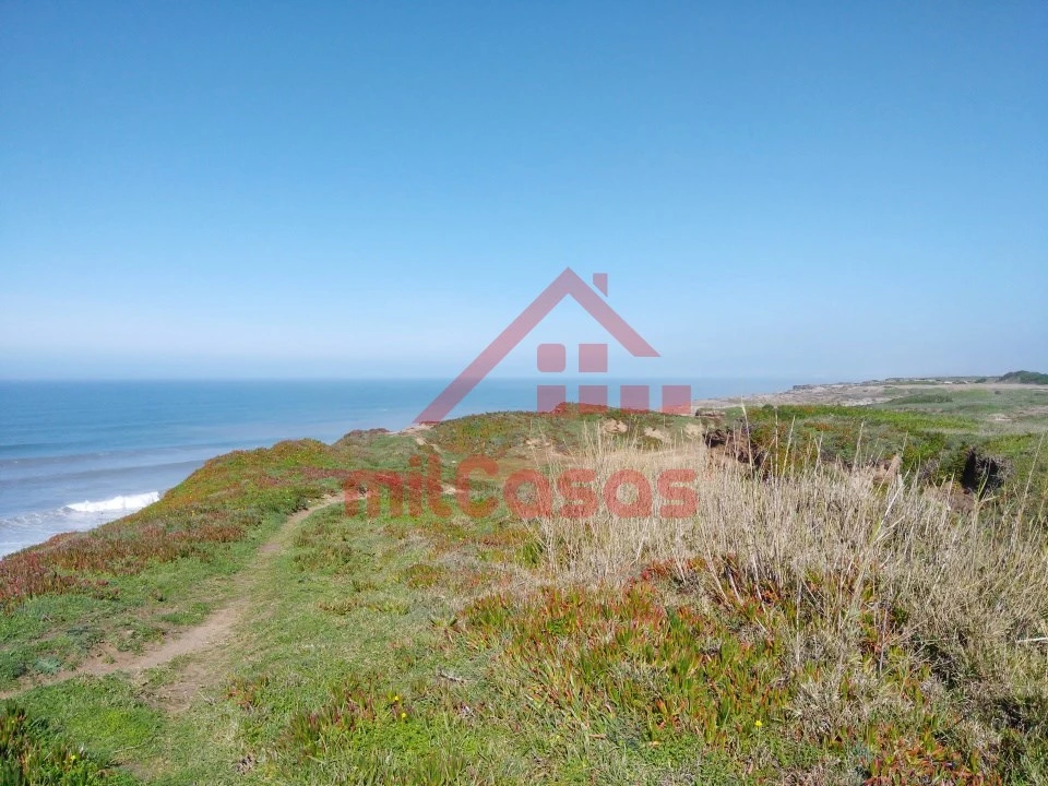 Terreno Misto para Venda em São Pedro da Cadeira Foto 31