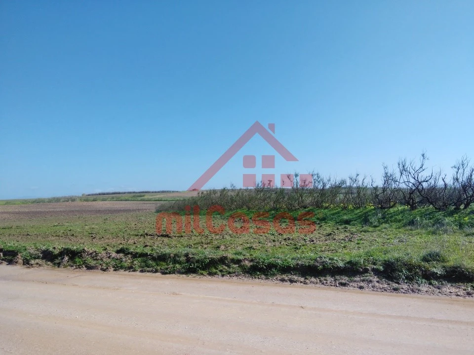 Terreno Misto para Venda em São Pedro da Cadeira Foto 17