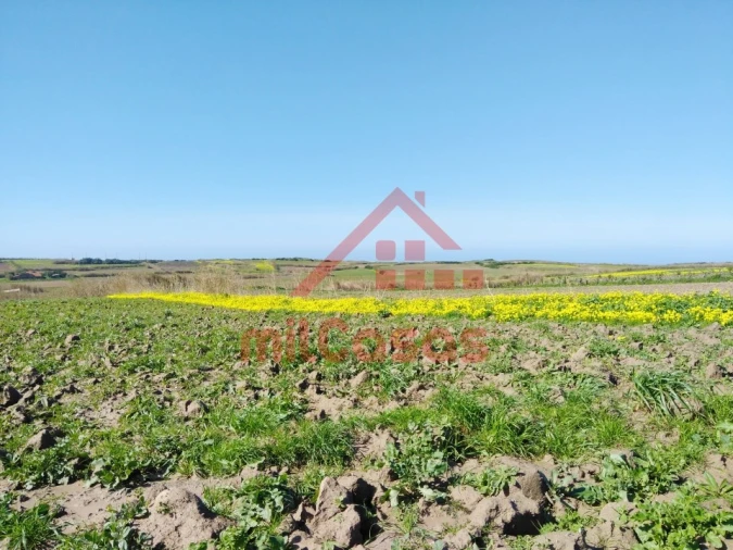 Terreno Misto para Venda em São Pedro da Cadeira Foto 4