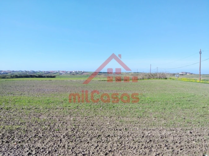 Terreno Misto para Venda em São Pedro da Cadeira Foto 6