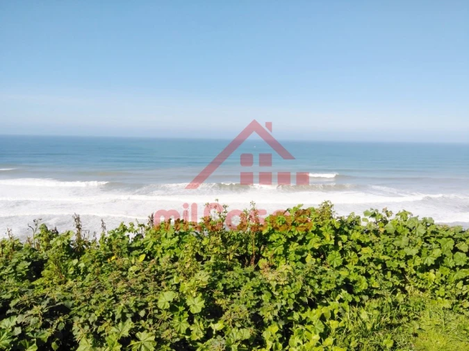 Terreno Misto para Venda em São Pedro da Cadeira Foto 22