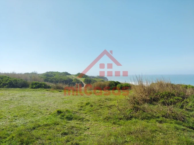 Terreno Misto para Venda em São Pedro da Cadeira Foto 25