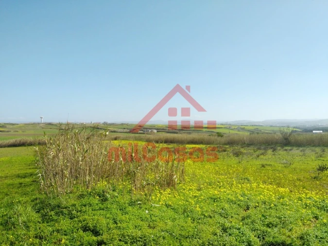 Terreno Misto para Venda em São Pedro da Cadeira Foto 9