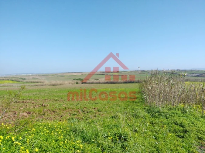 Terreno Misto para Venda em São Pedro da Cadeira Foto 16