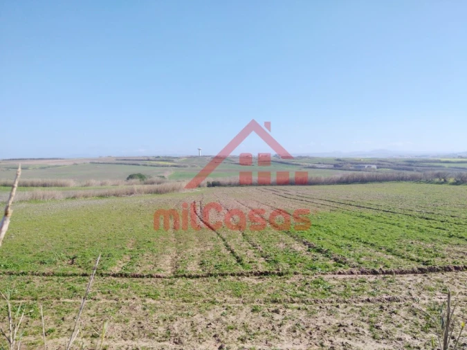 Terreno Misto para Venda em São Pedro da Cadeira Foto 12