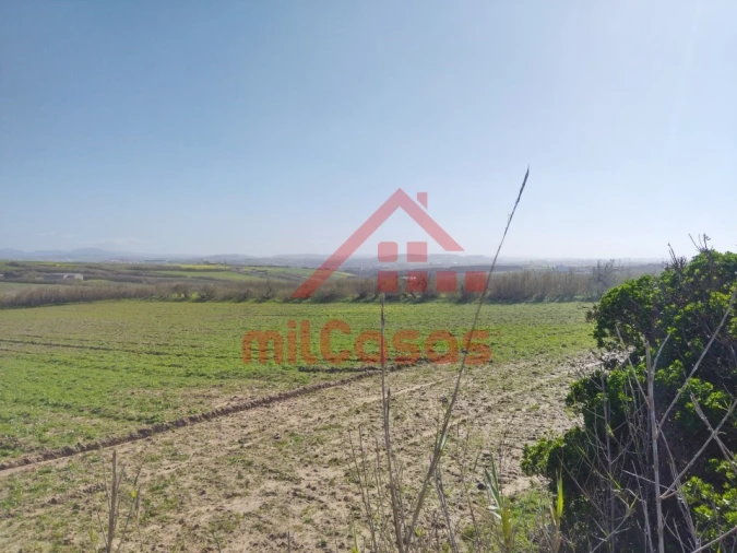 Terreno Misto para Venda em São Pedro da Cadeira Foto 11