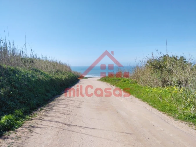 Terreno Misto para Venda em São Pedro da Cadeira Foto 32