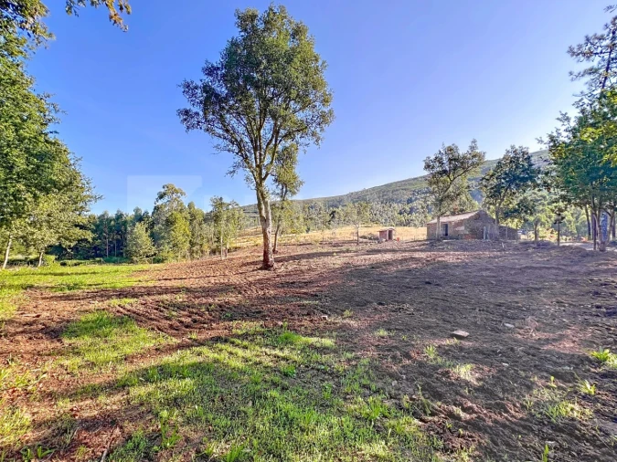 Terreno para Venda em Venade e Azevedo Foto 18