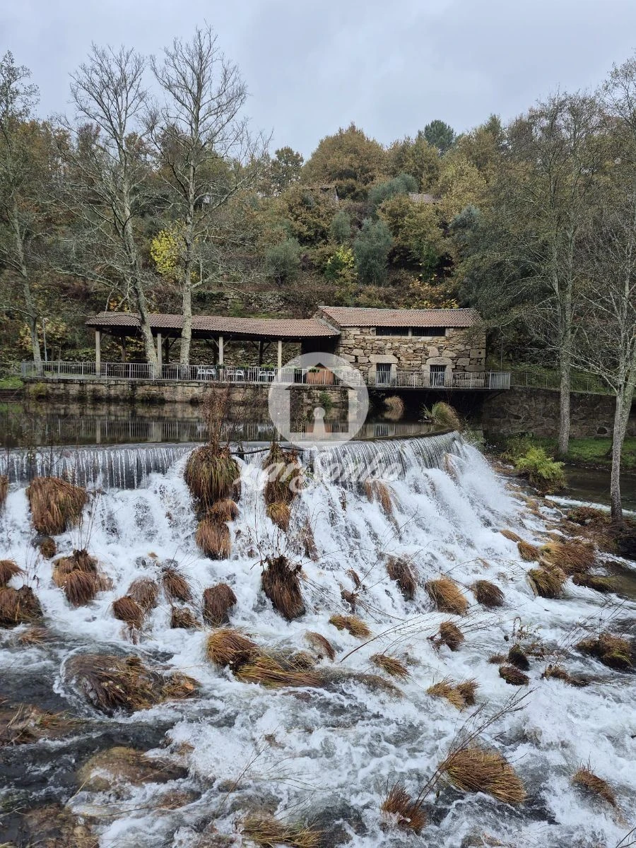 Moradia T1 para Venda em Cerva e Limões Foto 14