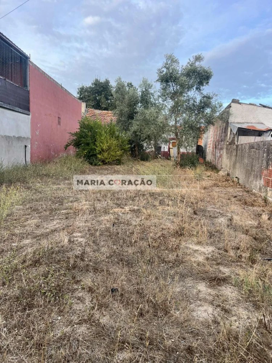 Moradia T1 para Venda em Aveiras de Cima Foto 2