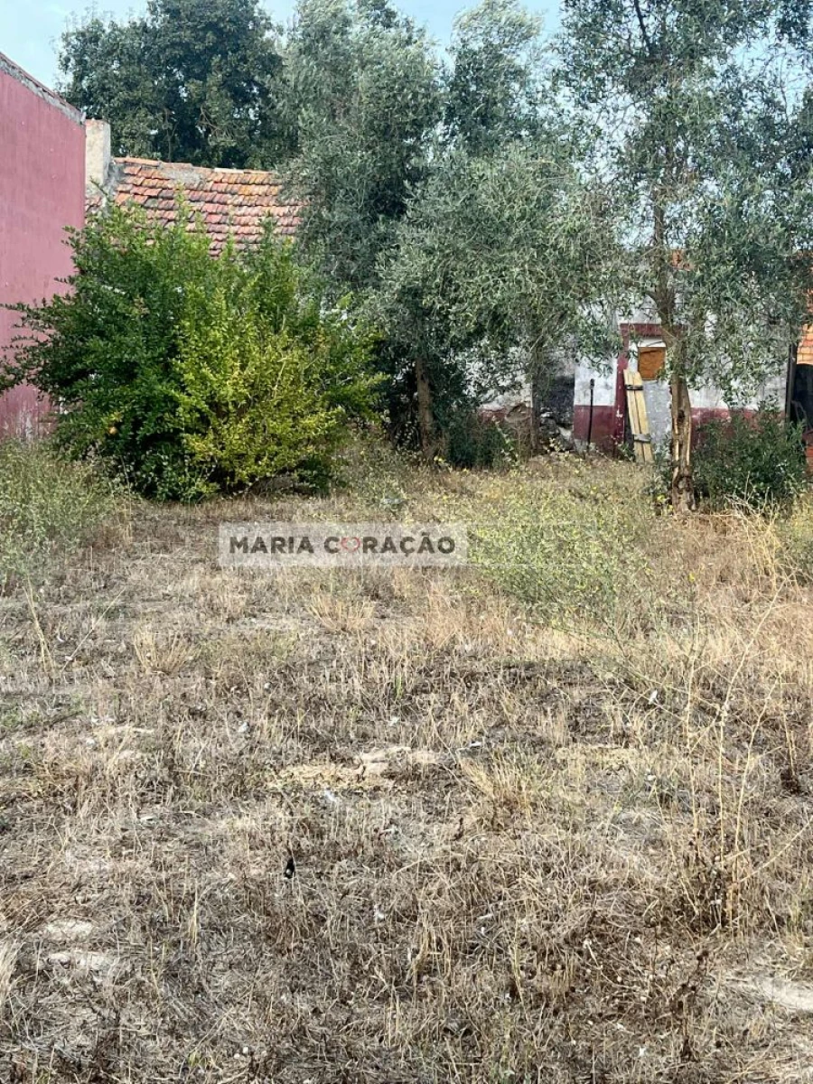 Moradia T1 para Venda em Aveiras de Cima Foto 6