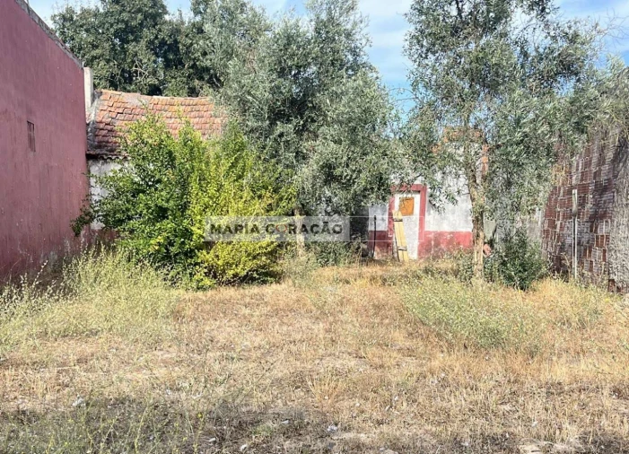 Moradia T1 para Venda em Aveiras de Cima Foto 7