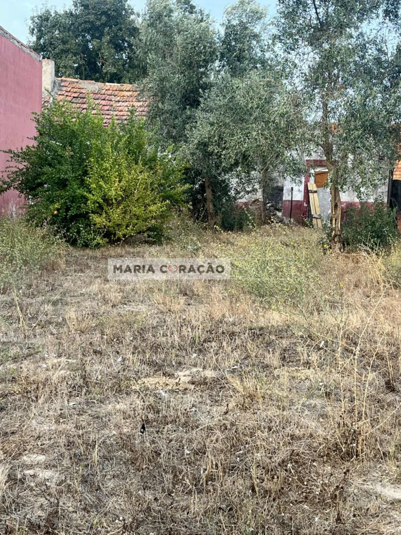 Moradia T1 para Venda em Aveiras de Cima Foto 6