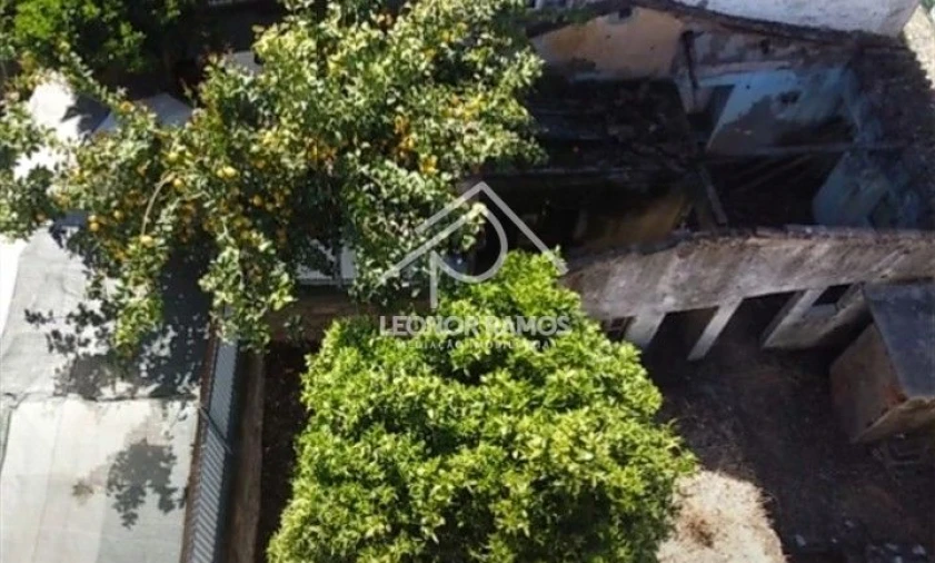 Moradia T4 para Venda em Castelo Branco Foto 18