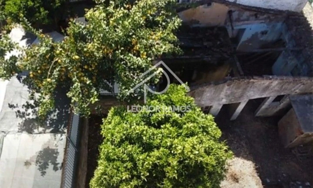 Moradia T4 para Venda em Castelo Branco Foto 18