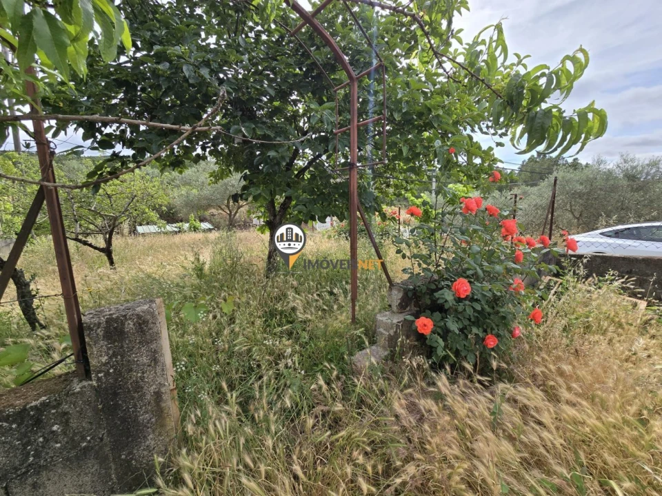 Moradia T2 para Venda em São Vicente da Beira Foto 7