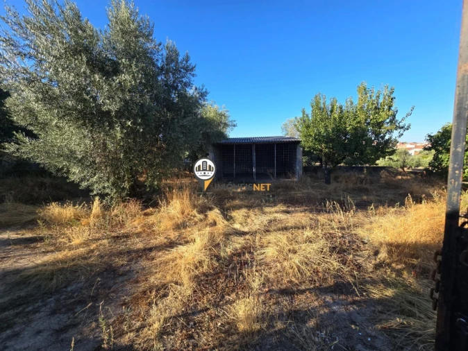Terreno para Venda em Tinalhas Foto 1