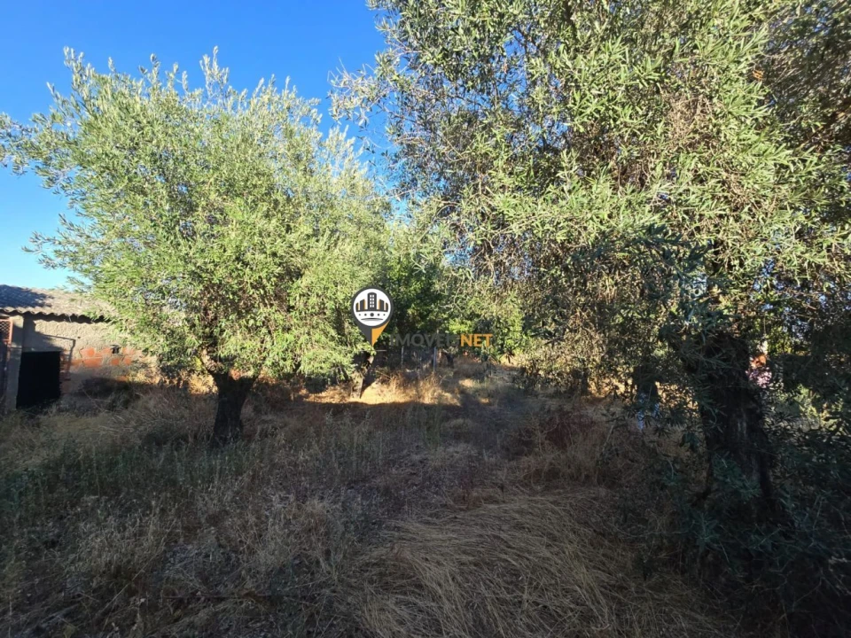 Terreno para Venda em Tinalhas Foto 14