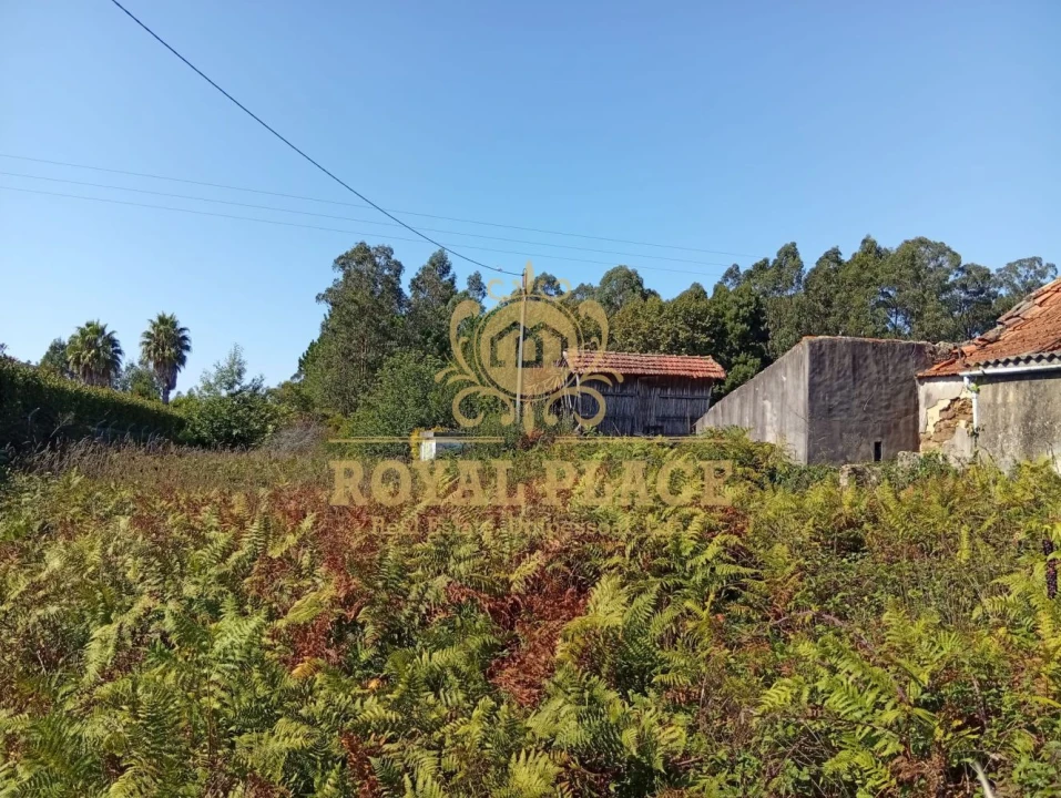 Terreno para Venda em Rio Meão Foto 4