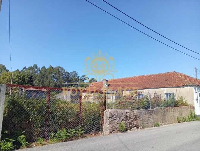 Terreno para Venda em Rio Meão Foto 2