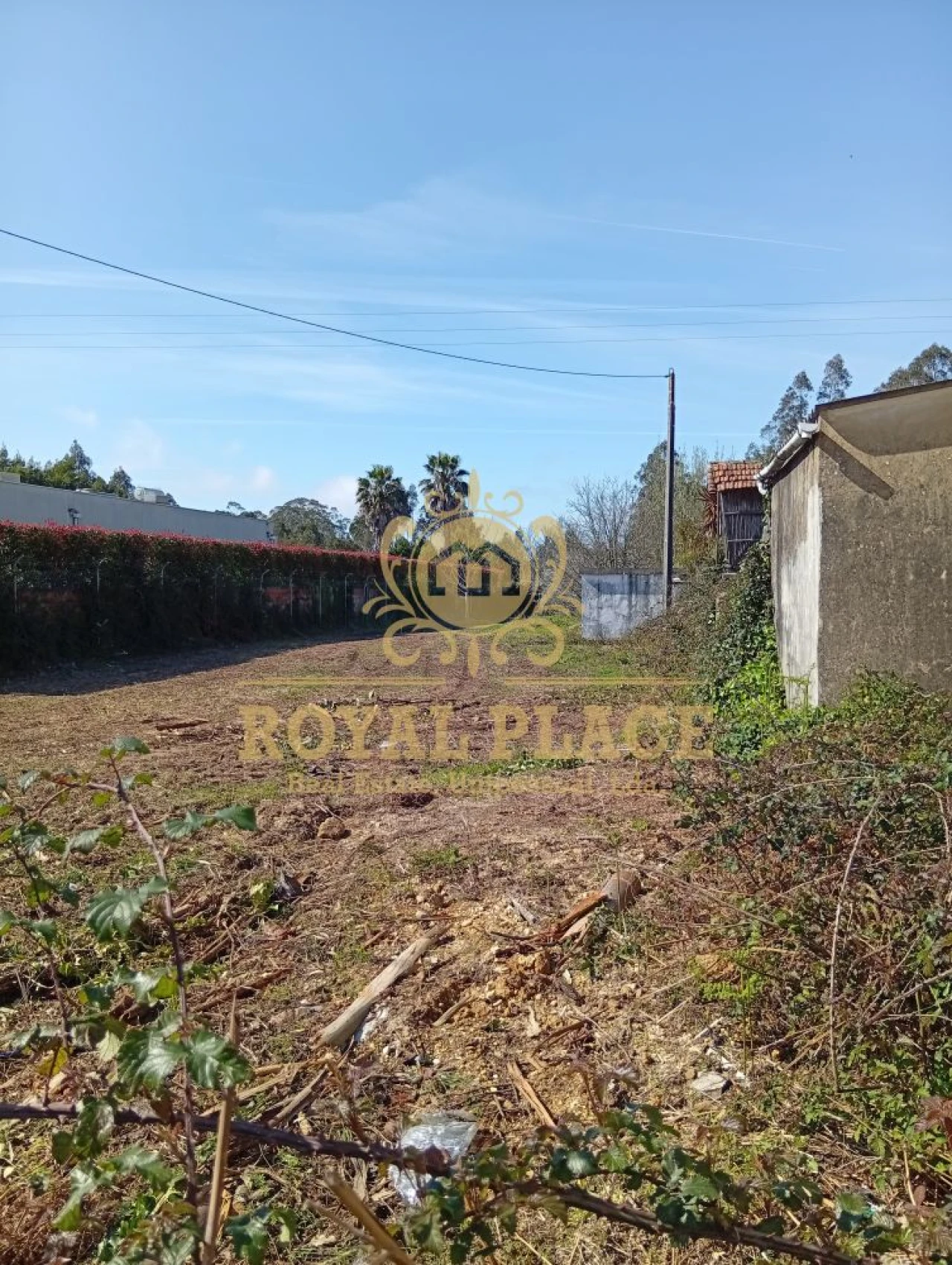 Terreno para Venda em Rio Meão Foto 10