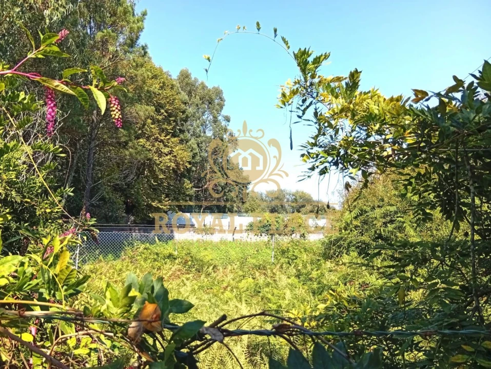 Terreno para Venda em Rio Meão Foto 7