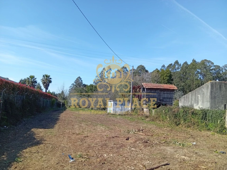 Terreno para Venda em Rio Meão Foto 9