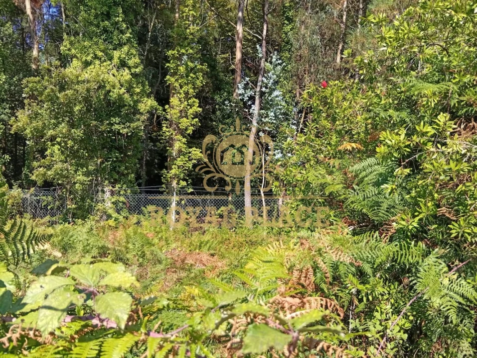 Terreno para Venda em Rio Meão Foto 8