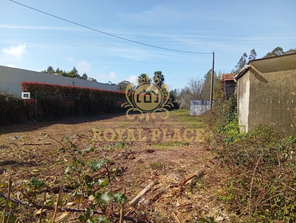 Terreno para Venda em Rio Meão Foto 11