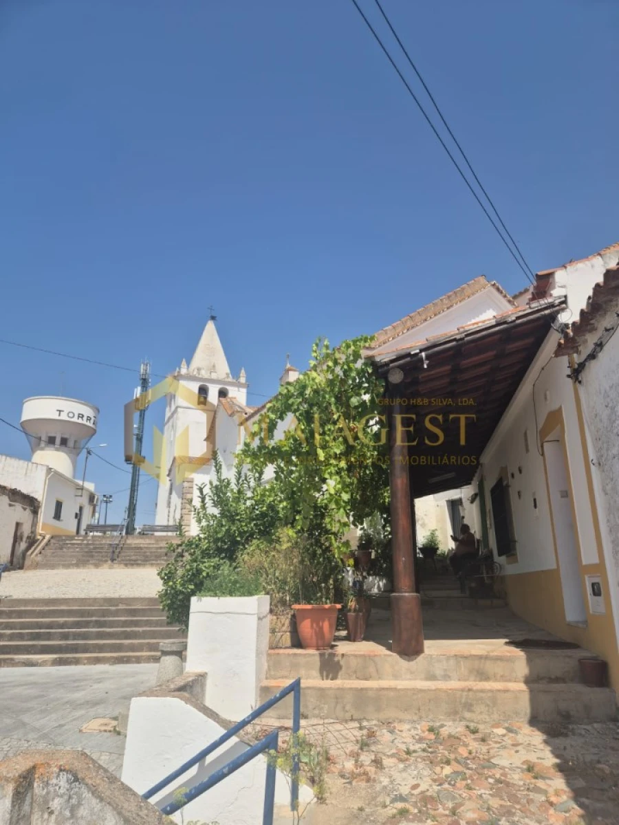 Terreno para Venda em Torrão