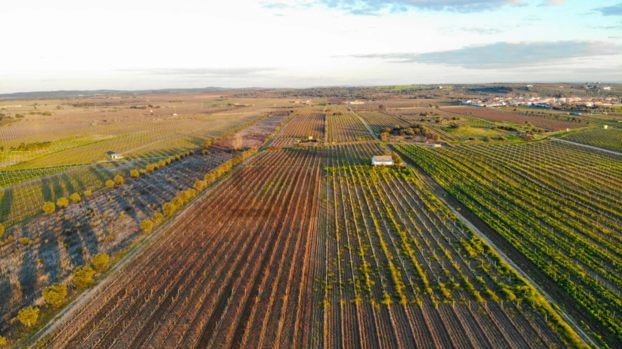 Terreno para Venda em Reguengos de Monsaraz Foto 1