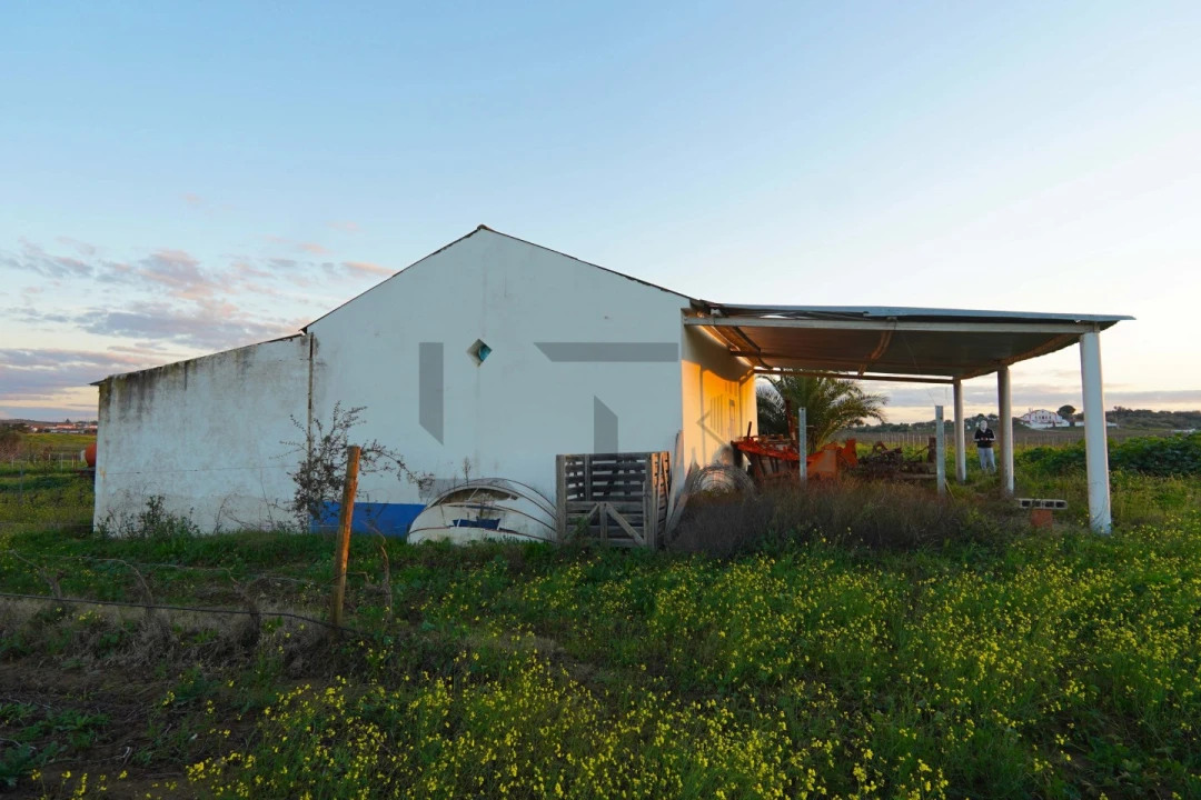 Terreno para Venda em Reguengos de Monsaraz Foto 6