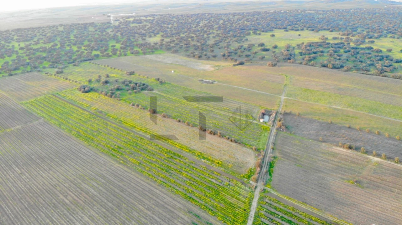 Terreno para Venda em Reguengos de Monsaraz Foto 12