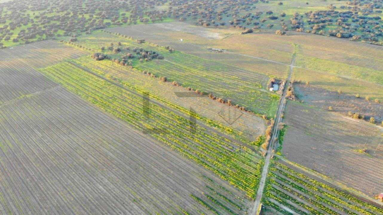 Terreno para Venda em Reguengos de Monsaraz Foto 20