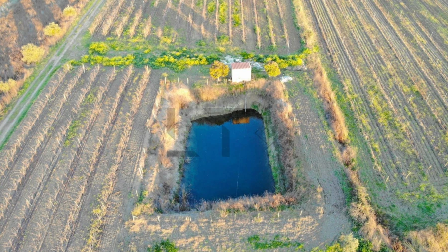 Terreno para Venda em Reguengos de Monsaraz Foto 5