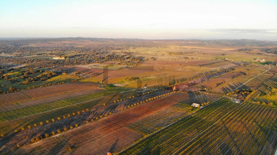 Terreno para Venda em Reguengos de Monsaraz Foto 18