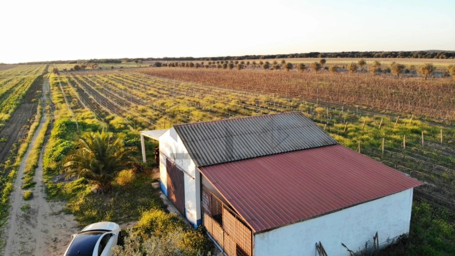 Terreno para Venda em Reguengos de Monsaraz Foto 19
