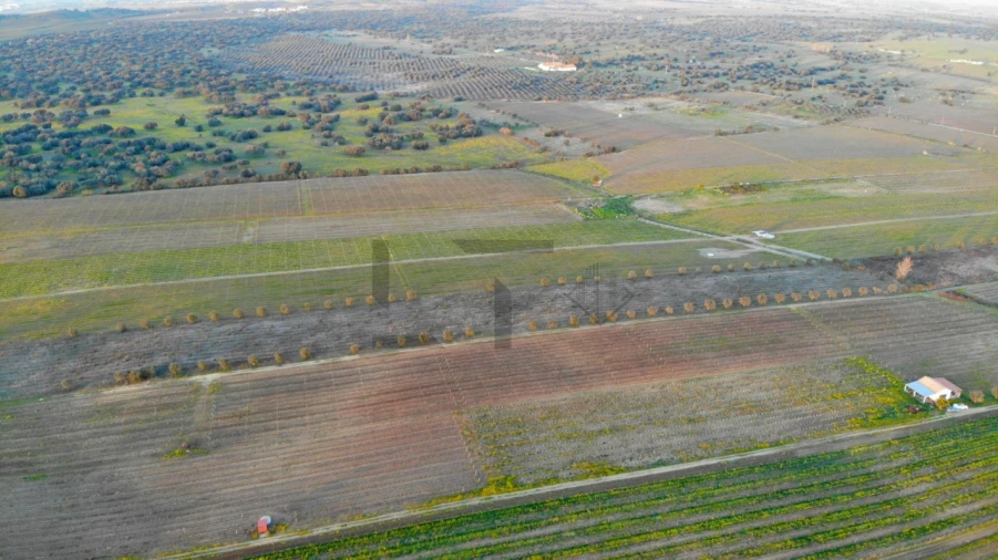 Terreno para Venda em Reguengos de Monsaraz Foto 21