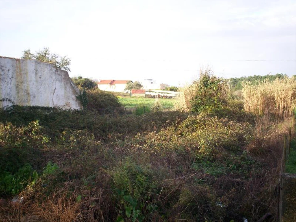 Terreno para Venda em Alhadas Foto 3