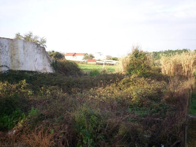 Terreno para Venda em Alhadas Foto 3
