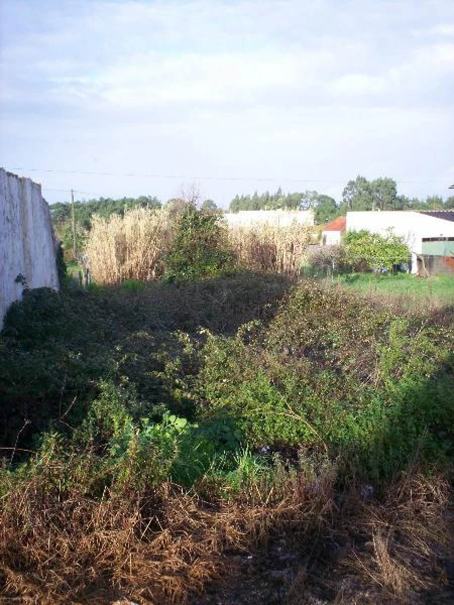 Terreno para Venda em Alhadas Foto 4