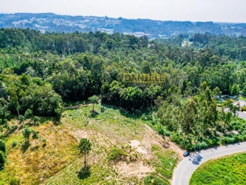 Terreno para Venda em Santa Maria da Feira, Travanca, Sanfins e Espargo