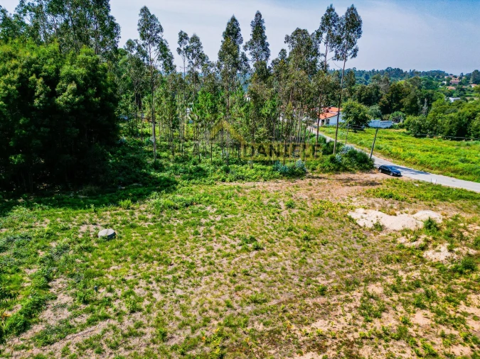 Terreno para Venda em Santa Maria da Feira, Travanca, Sanfins e Espargo Foto 9