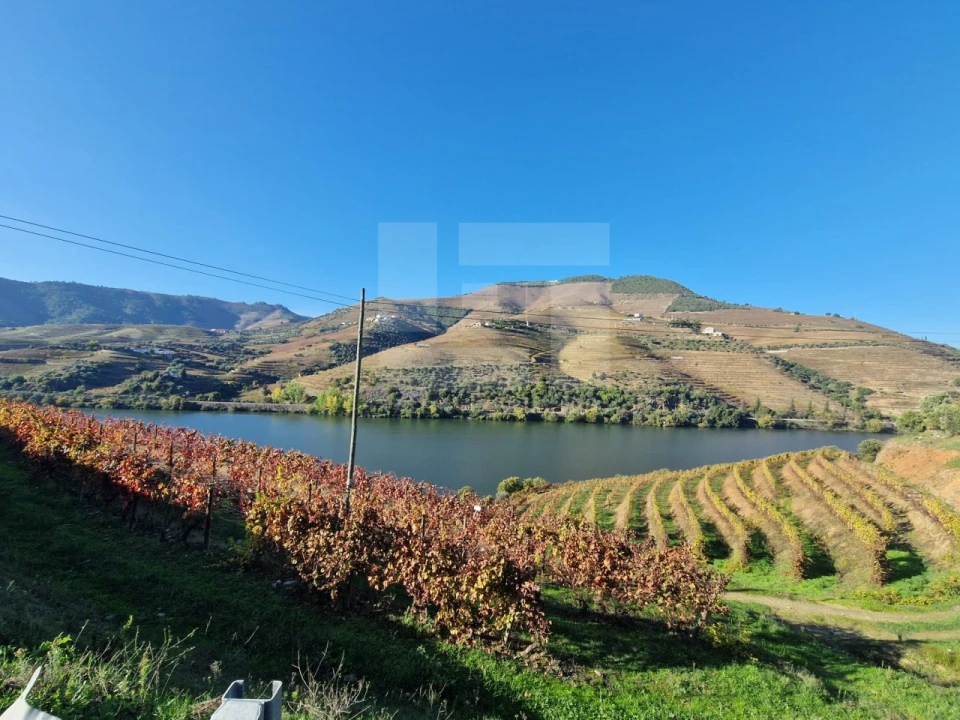 Moradia T2 para Venda em Ervedosa do Douro Foto 17