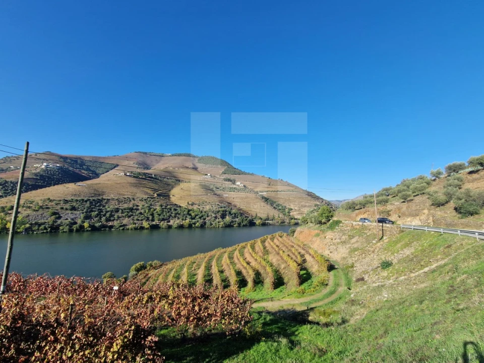 Moradia T2 para Venda em Ervedosa do Douro Foto 18